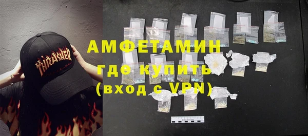 шишки Невель