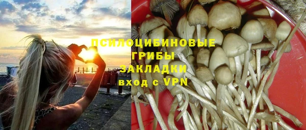 крисы Алзамай