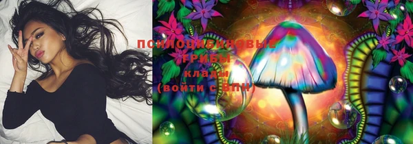 крисы Алзамай