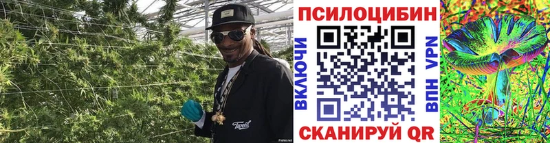 Псилоцибиновые грибы MAGIC MUSHROOMS  blacksprut ONION  Петровск  даркнет сайт 